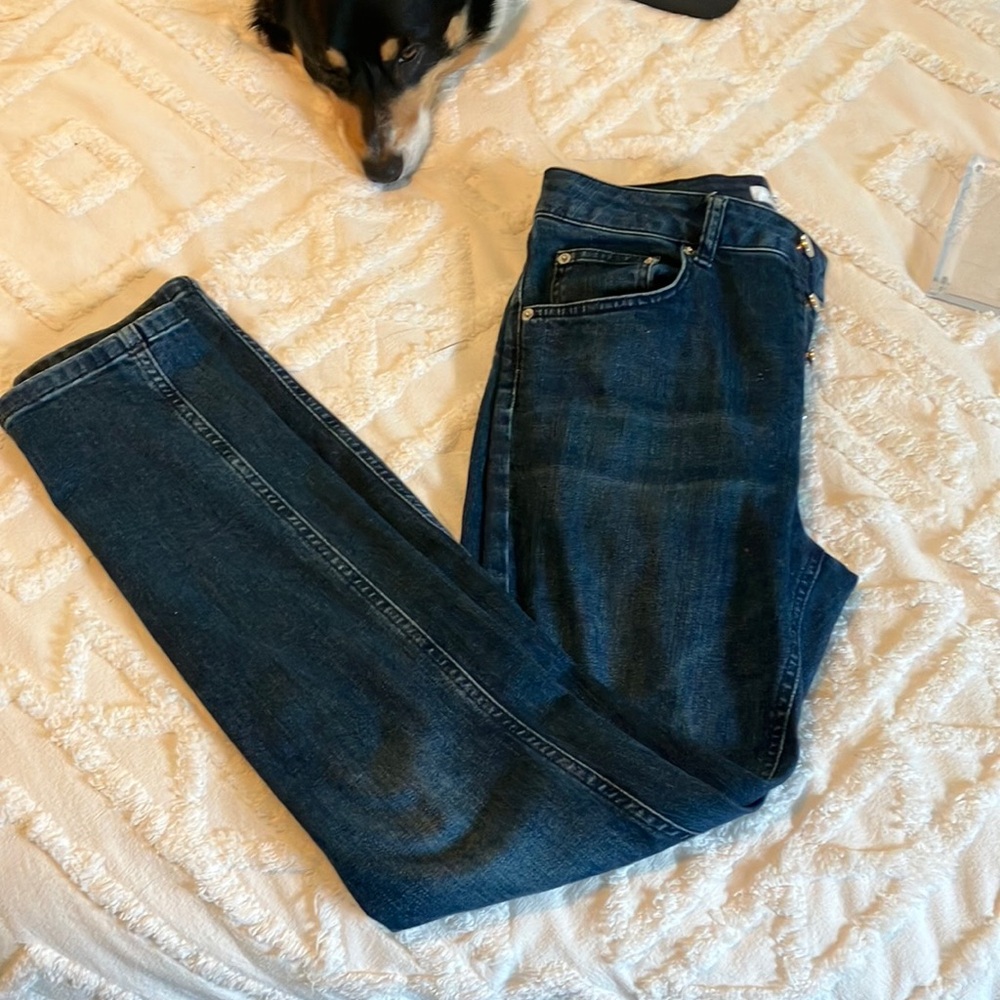 Anine bing straight jeans